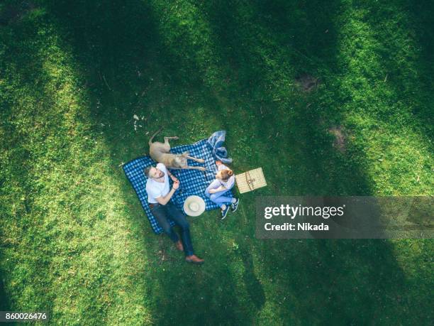 upper view of a happy father with teenage daughter and dog lying on a blanket in a park - piquenique imagens e fotografias de stock