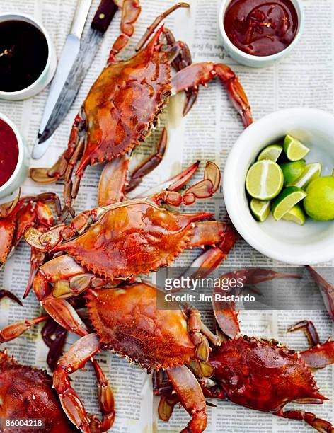 crabs on table - crab seafood stockfoto's en -beelden