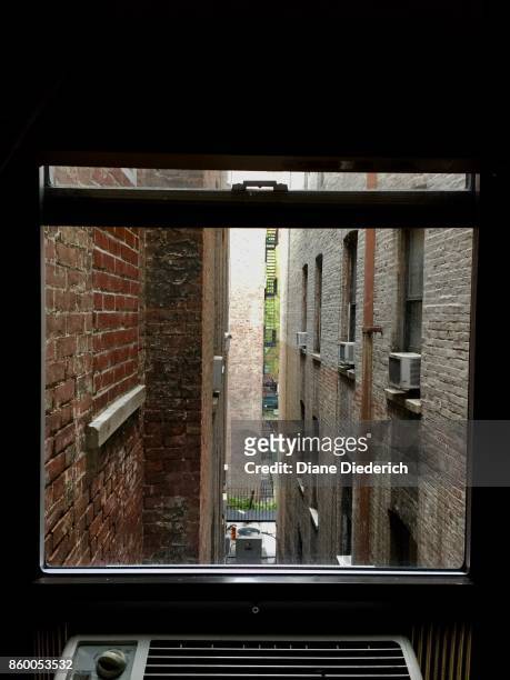 view from the window - diane diederich - fotografias e filmes do acervo