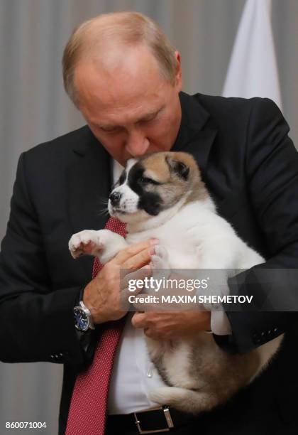 Russian President Vladimir Putin kisses a Turkmen shepherd dog, locally known as Alabai, received by Turkmenistan's President Gurbanguly...