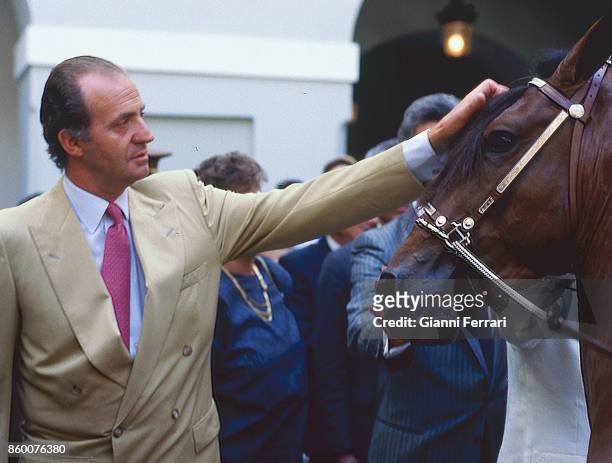 During his official trip to Puerto Rico, the Spanish King Juan Carlos received the gift of the horse "Paso Fino" San Juan, Puerto Rico.