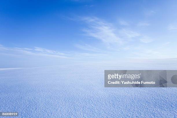snowy field. - horizon over land stock pictures, royalty-free photos & images