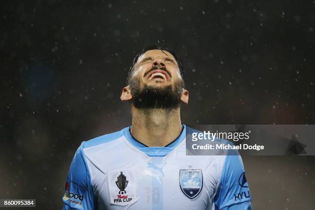 Milos Ninkovic of Sydney FC reacts after a kick at goal during the FFA Cup Semi Final match between South Melbourne FC and Sydney FC at Lakeside...