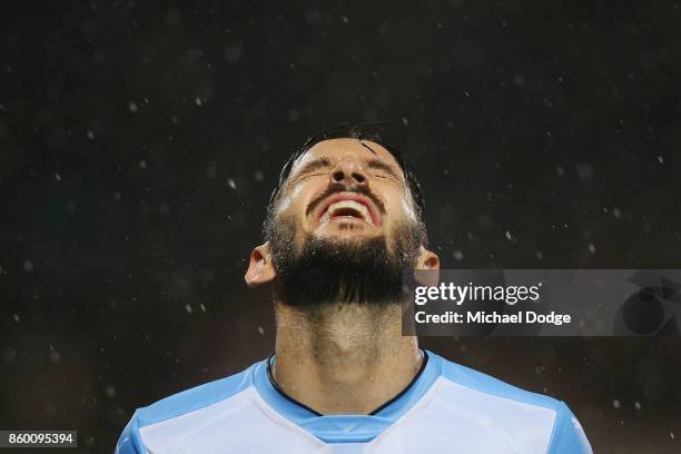 Milos Ninkovic of Sydney FC reacts after a kick at goal during the FFA Cup Semi Final match between South Melbourne FC and Sydney FC at Lakeside...