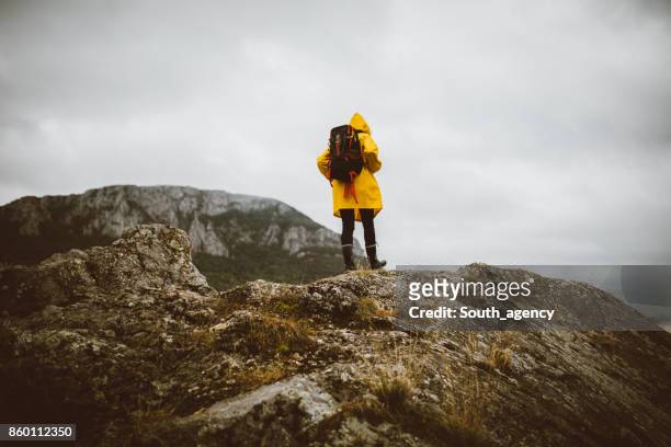 op de top van de wereld - yellow jacket stockfoto's en -beelden