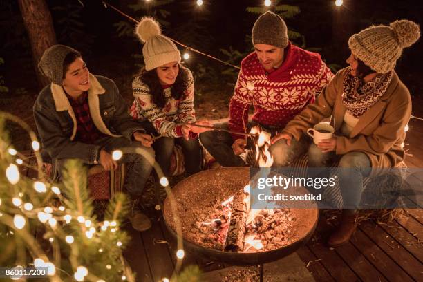 die merriest zeit des jahres! - fireplace christmas stock-fotos und bilder