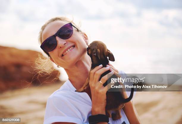 woman and chihuahua - smiling brown dog stock pictures, royalty-free photos & images