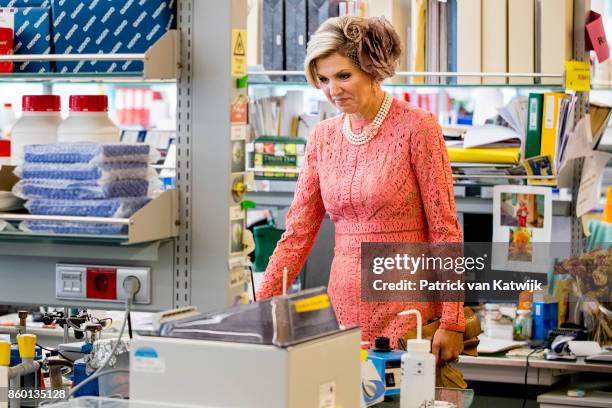 Queen Maxima of The Netherlands visits Champalimaud Centre on October 11, 2017 in Lisboa CDP, Portugal. Foundation Champalimaud develops programs for...