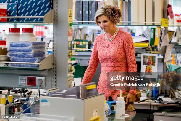 Queen Maxima of The Netherlands visits Champalimaud Centre on October 11, 2017 in Lisboa CDP, Portugal. Foundation Champalimaud develops programs for...