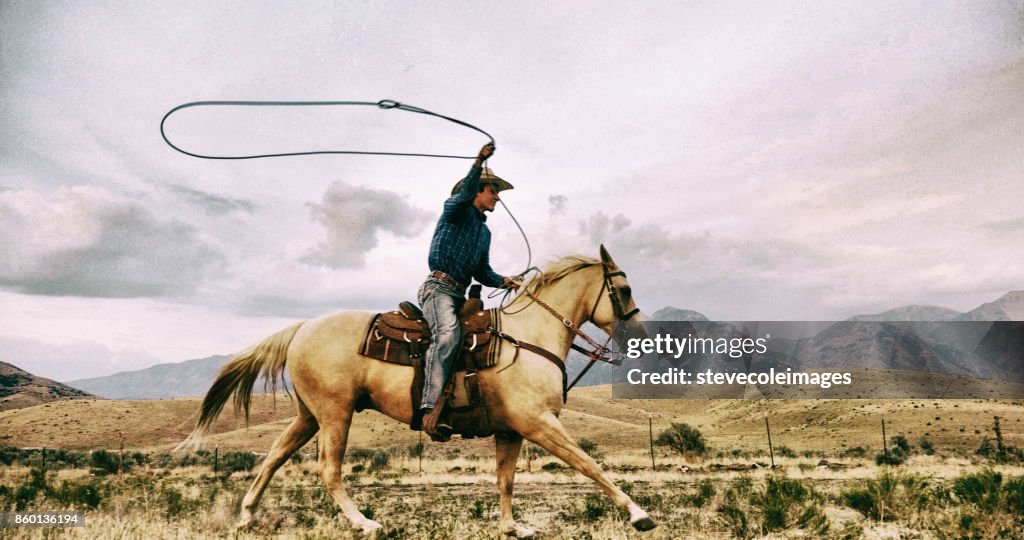 Lazo Cowboy