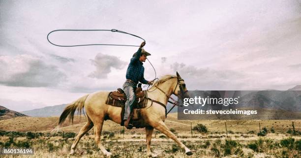 lasso cowboy - cowboy bildbanksfoton och bilder