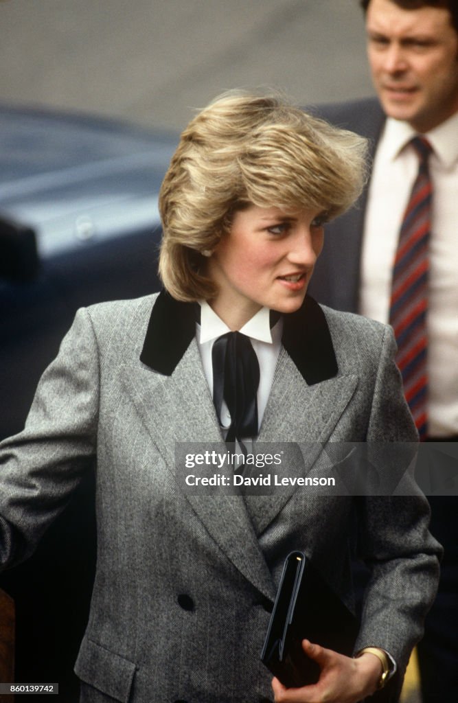Princess Diana Archive - David Levenson