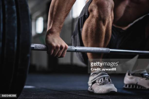 daily workout - weightlifting imagens e fotografias de stock