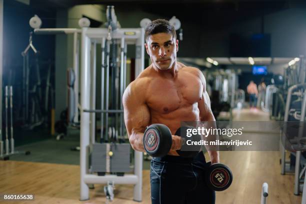 muscular fit man exercising in a gym - arab bodybuilder stock pictures, royalty-free photos & images