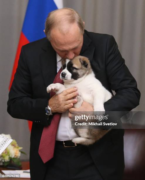 Russian President Vladimir Putin caresses his new Central Asian Shepherd puppy presented to him by Turkmen President Gurbanguly Berdymuhakmedov...