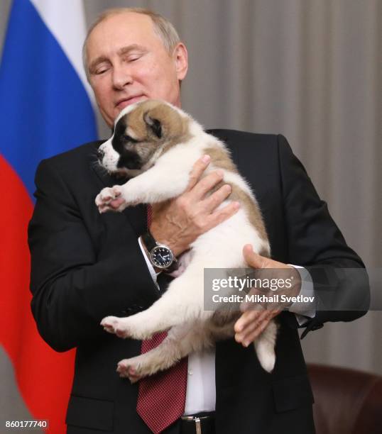 Russian President Vladimir Putin holds his new Central Asian Shepherd puppy presented to him by Turkmen President Gurbanguly Berdymuhakmedov during...