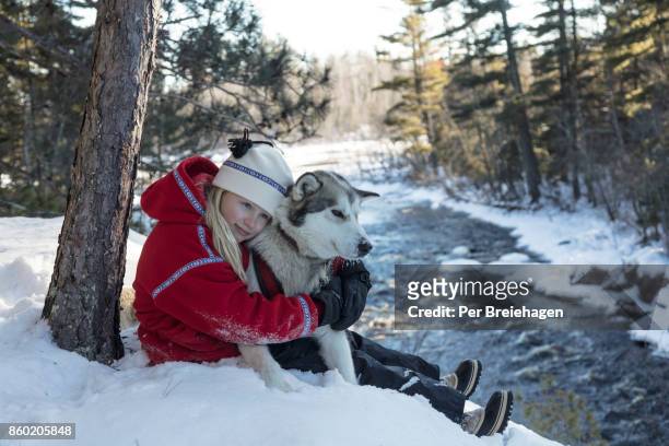 a young girl and a husky sled dog - ely minnesota stock pictures, royalty-free photos & images