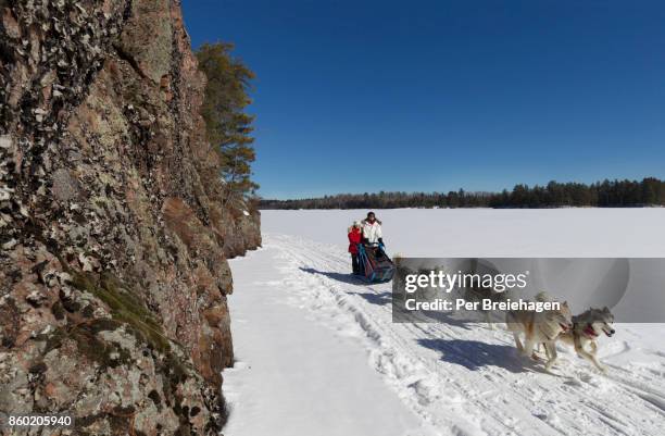 dog sledding on a frozen lake in northern minnesota - hondensleeën stockfoto's en -beelden