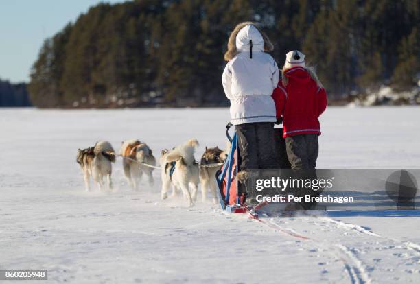 Sled Vs Sleigh Stockfoto's en -beelden - Getty Images