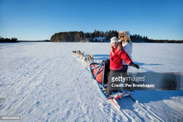 mother and daughter dog sledding on minnesota lake - sleigh dog snow stock pictures, royalty-free photos & images