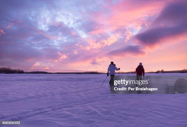 cross country skiing into the sunset on a lake in minnesota - ely imagens e fotografias de stock