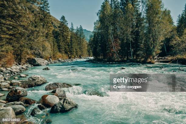 the inflow of kucherla river. altai mountains, ust-koksa, russia. - fluss stock-fotos und bilder