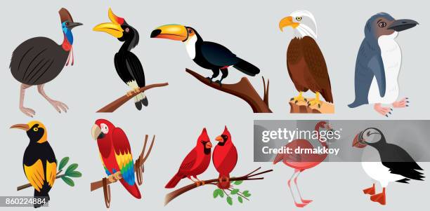 stockillustraties, clipart, cartoons en iconen met dieren - safari animals