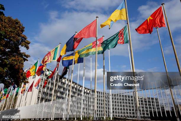 Flags from several countries float in front of the headquarters of the United Nations Educational, Scientific and Cultural Organization on October...