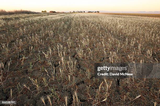 Lay Fallow Salazar Valley Photos and Premium High Res Pictures - Getty Images
