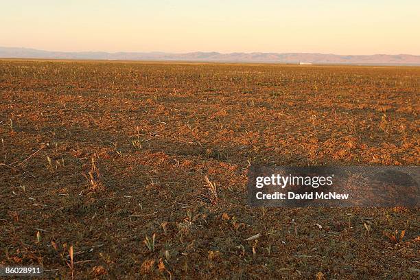 Lay Fallow Fallow Field Photos and Premium High Res Pictures - Getty Images