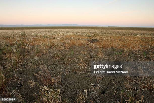 Lay Fallow Office 260 Photos and Premium High Res Pictures - Getty Images