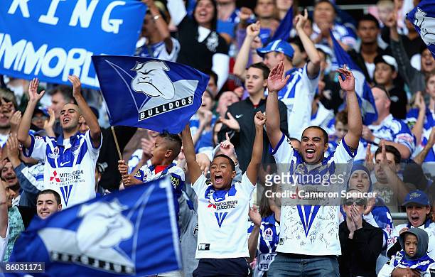 Bulldogs fans celebrate a try during the round six NRL match between the Parramatta Eels and the Bulldogs at ANZ Stadium on April 19, 2009 in Sydney,...