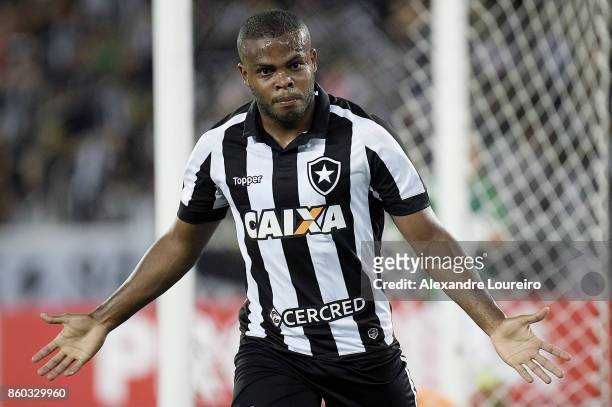 Vinicius Tanque of Botafogo celebrates a scored goal during the match between Botafogo and Chapecoense as part of Brasileirao Series A 2017 at...