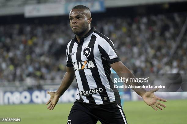 Vinicius Tanque of Botafogo celebrates a scored goal during the match between Botafogo and Chapecoense as part of Brasileirao Series A 2017 at...
