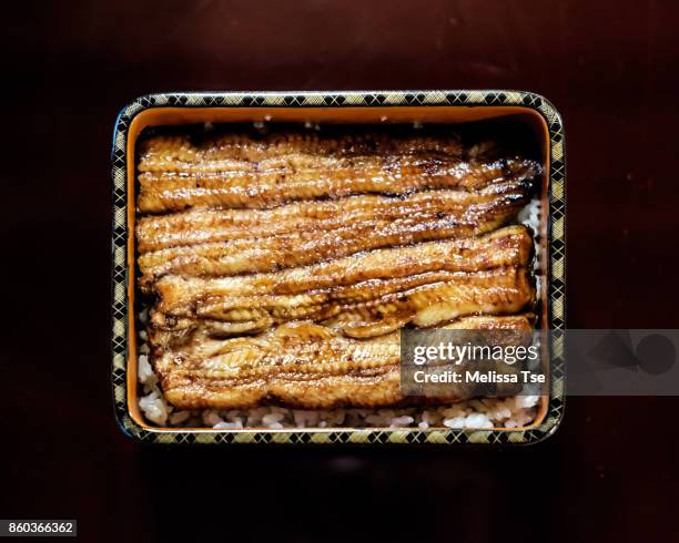 unaju - griiled unagi served over rice - jyubako fotografías e imágenes de stock