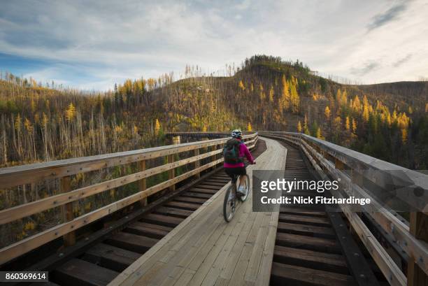 biking over the trestles in myra canyon on the kettle valley railway, british columbia, canada - kelowna stock pictures, royalty-free photos & images