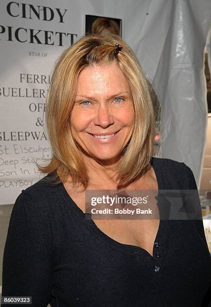 Cindy Pickett attends the 2009 Chiller Theatre Expo at the Hilton on April 19, 2009 in Parsippany, New Jersey.