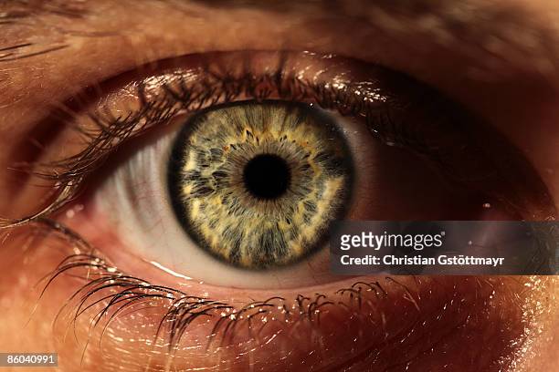 the eye - iris stock pictures, royalty-free photos & images
