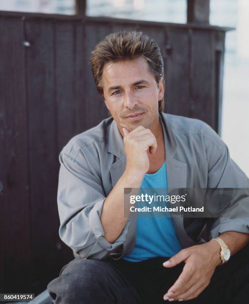 American actor Don Johnson, Florida, November 1986.