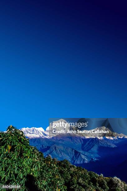 mt dhaulagiri (8167m) in the annapurna district - annapurna conservation area fotografías e imágenes de stock