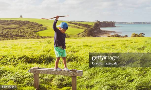 kid climbed on a sign with scenic view in background. - north island new zealand stock pictures, royalty-free photos & images