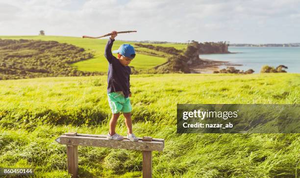 kid climbed on a sign with scenic view in background. - ilha do norte da nova zelândia imagens e fotografias de stock