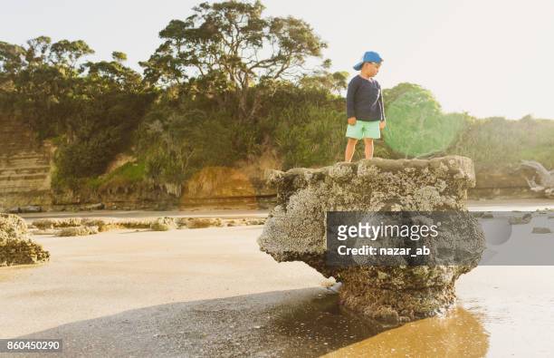 kid standing on rock at long bay, auckland, new zealand. - new zealand farmer stock pictures, royalty-free photos & images