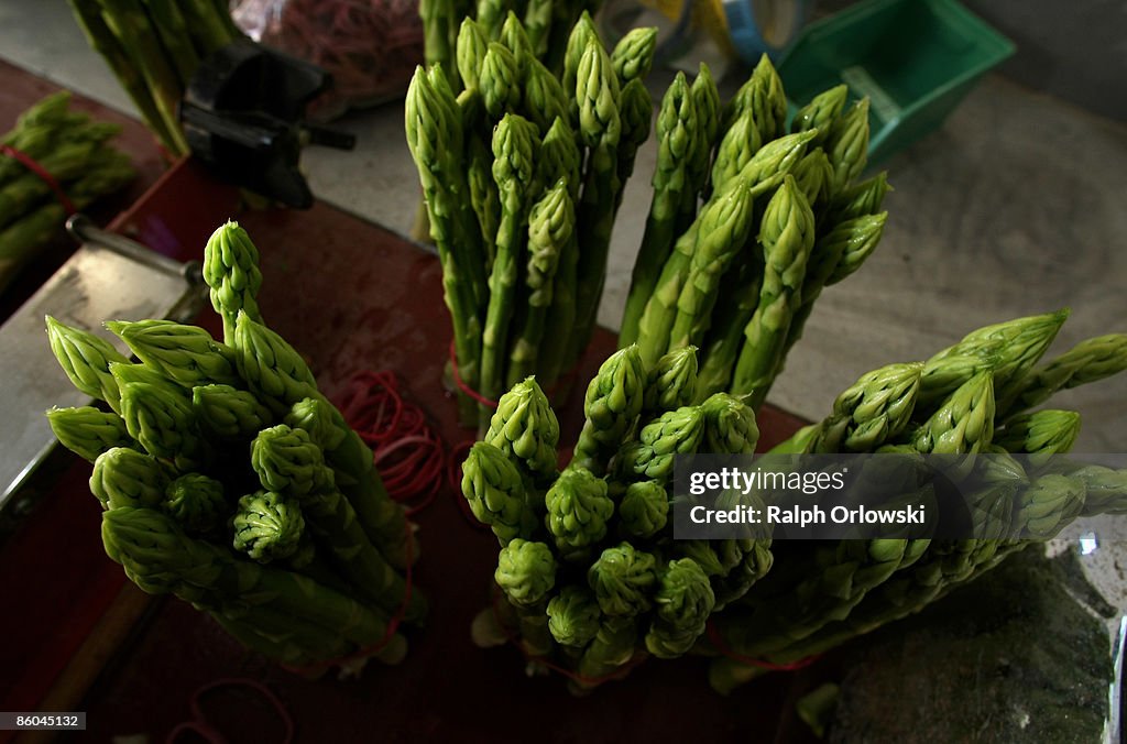 Asparagus Season In Germany Begins