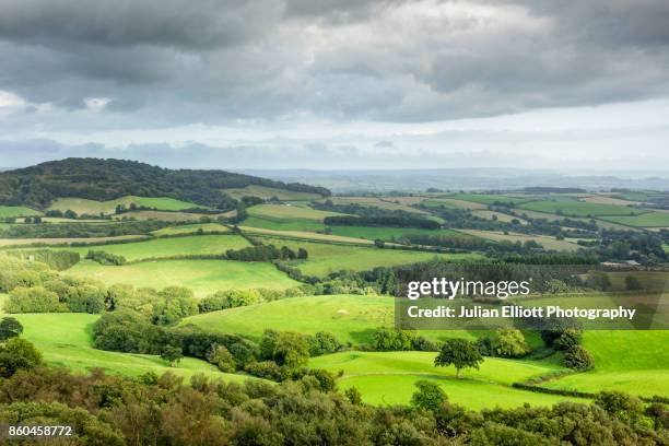 the view over the marshwood vale from pilsdon pen in dorset, uk. - marshwood vale photos et images de collection