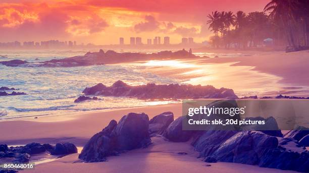 itapuã beach 03 - salvador stock pictures, royalty-free photos & images