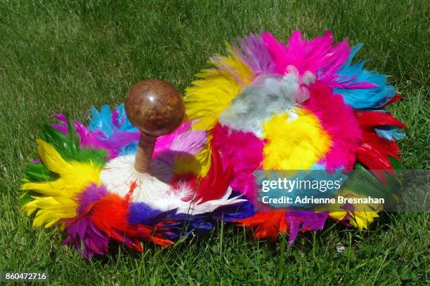 hawaiian gourds - hawaii souvenir stock pictures, royalty-free photos & images