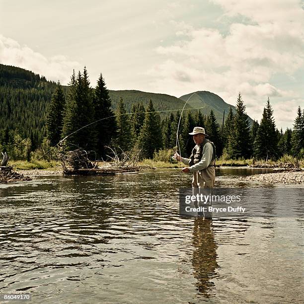 fly fishing in the canadian rockies - un solo hombre mayor fotografías e imágenes de stock