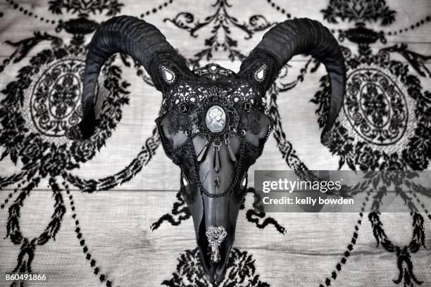 taxidermy ram skull decor homemade art - kelly bowden stockfoto's en -beelden