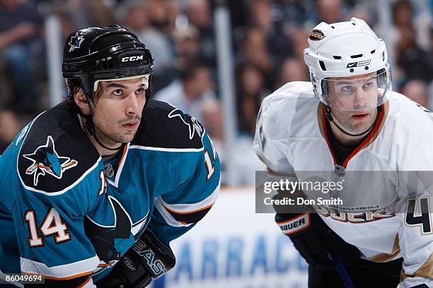 Rob Niedermayer of the Anaheim Ducks and Jonathan Cheechoo of the San Jose Sharks await a puck drop dduring Game One of the Western Conference...